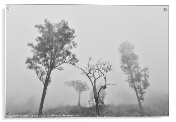 Trees in fog black and white Acrylic by Chun Ju Wu