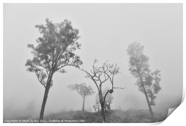 Trees in fog black and white Print by Chun Ju Wu