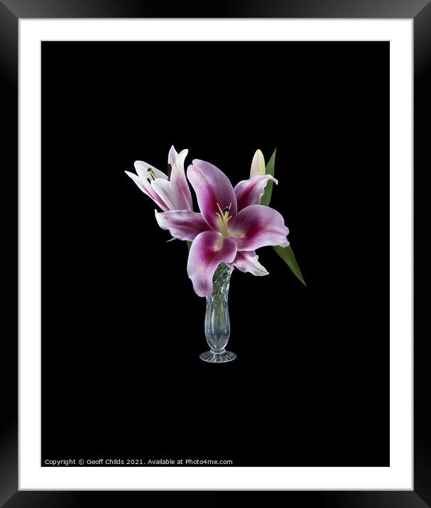  Pretty purple Lily in a Vase.  Framed Mounted Print by Geoff Childs