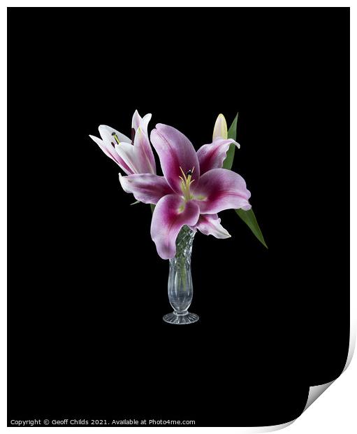  Pretty purple Lily in a Vase.  Print by Geoff Childs