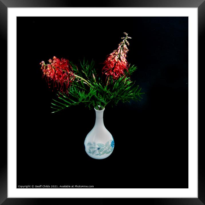  Pretty red Grevillea blooms in a Vase.  Framed Mounted Print by Geoff Childs
