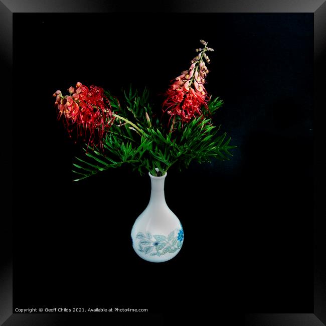  Pretty red Grevillea blooms in a Vase.  Framed Print by Geoff Childs