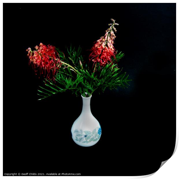  Pretty red Grevillea blooms in a Vase.  Print by Geoff Childs