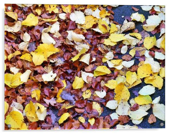 Autumn leaves Acrylic by Roy Hinchliffe