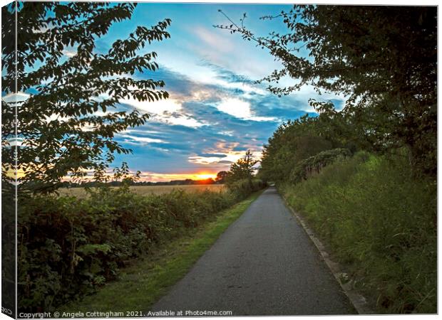 Path Towards the Sunset Canvas Print by Angela Cottingham
