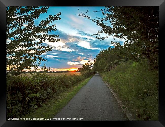 Path Towards the Sunset Framed Print by Angela Cottingham