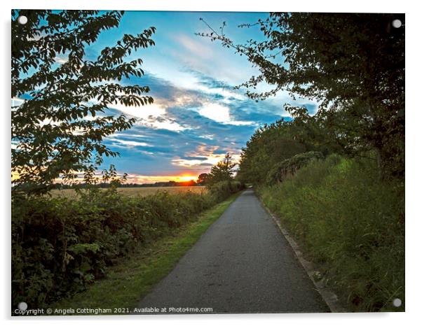 Path Towards the Sunset Acrylic by Angela Cottingham
