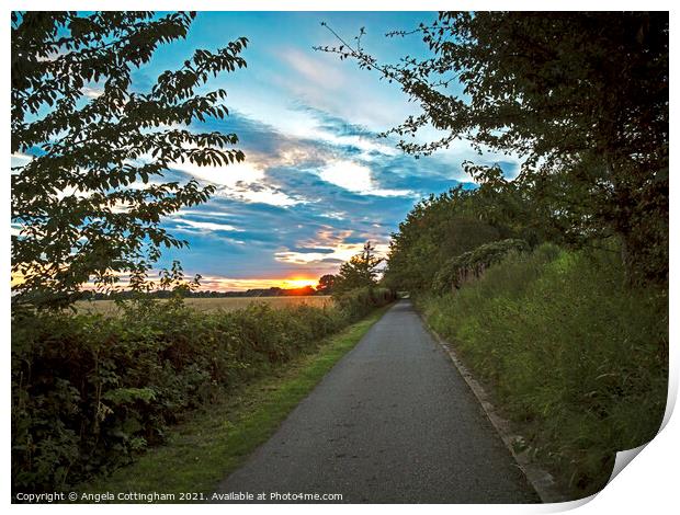 Path Towards the Sunset Print by Angela Cottingham