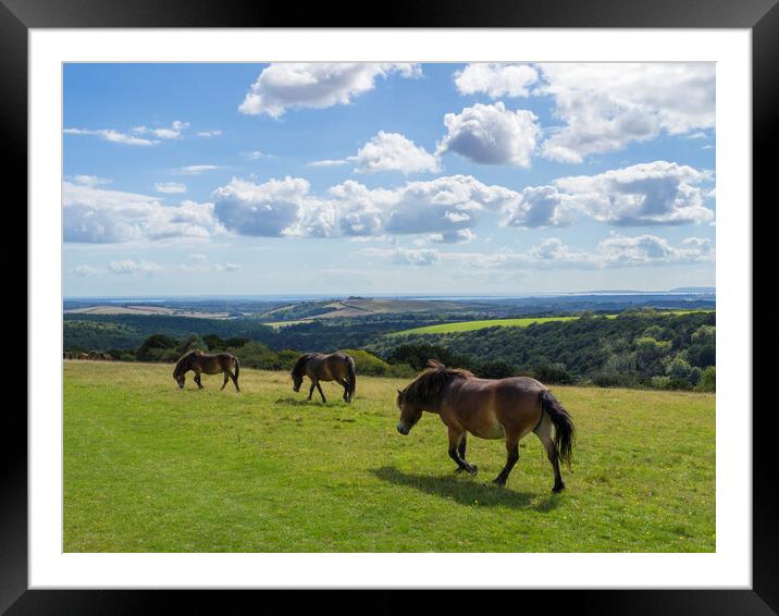 Butser Hill ,Hampshire  Framed Mounted Print by Philip Enticknap