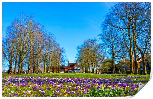 Stoke Park Guildford Surrey  Print by Philip Enticknap