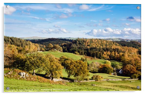 Snowdonia Countryside in Autumn  Acrylic by Pearl Bucknall