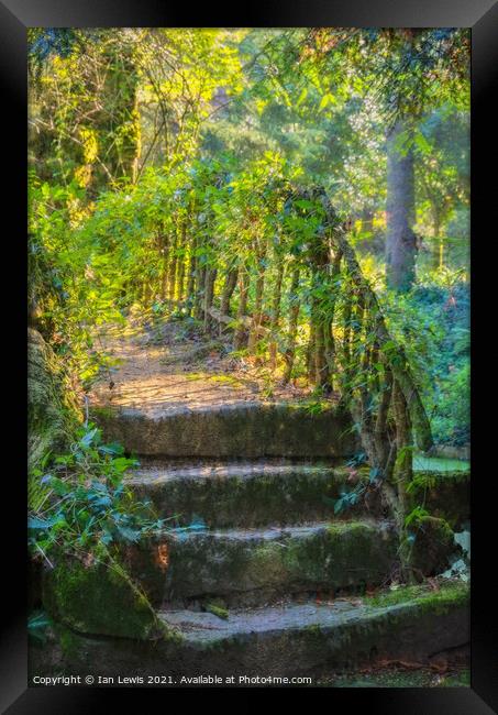 Garden Steps Framed Print by Ian Lewis