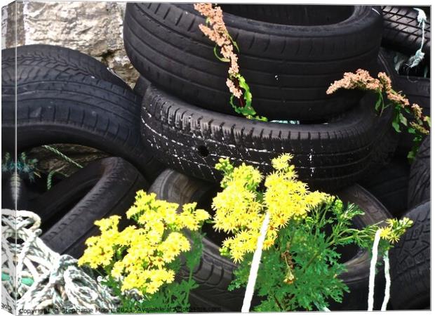 Tires, ropes and flowers Canvas Print by Stephanie Moore