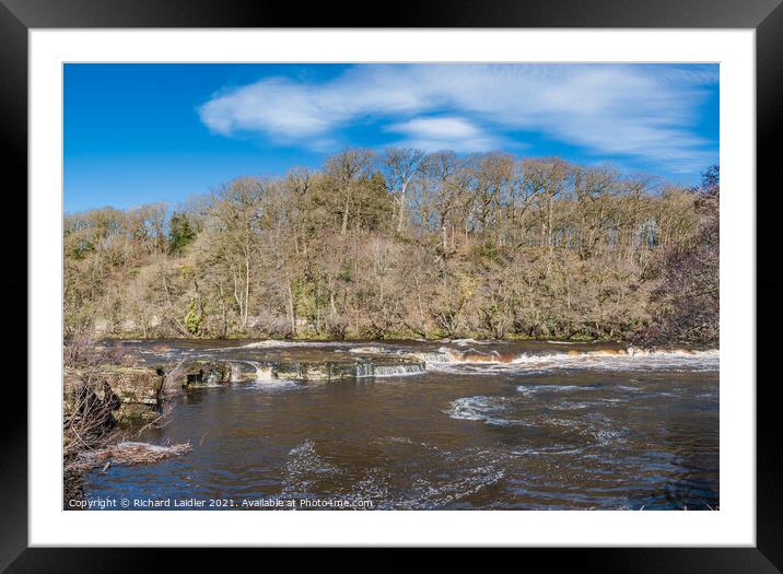 Whorlton Cascades in Early Spring Sunshine  Framed Mounted Print by Richard Laidler