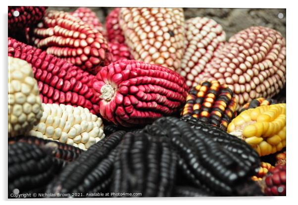 Coloured Corn Acrylic by Nicholas Brown