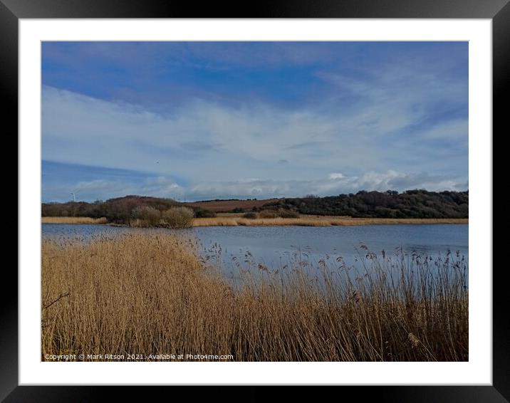 Reed Pond  Framed Mounted Print by Mark Ritson