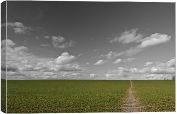 Footpath leading to sky, Leicestershire Canvas Print by mark humpage