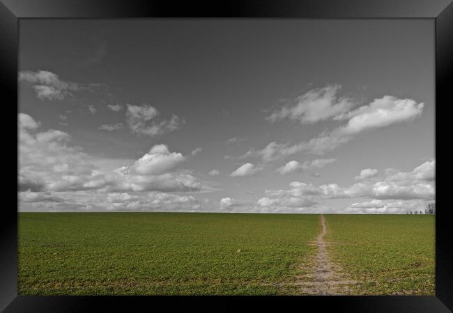 Footpath leading to sky, Leicestershire Framed Print by mark humpage