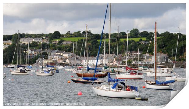 Yatchs in Falmouth Harbour Print by Brian Pierce