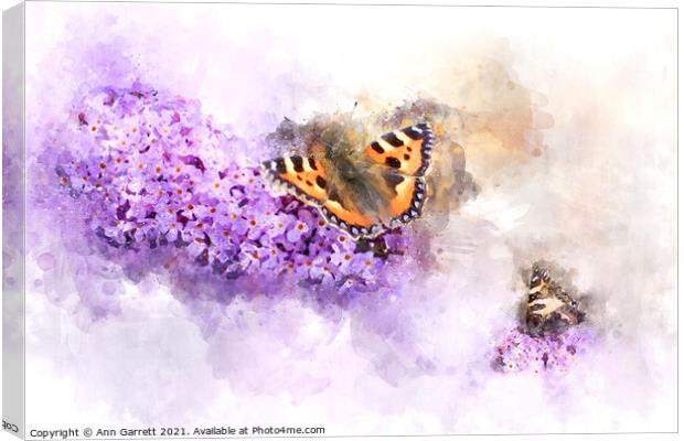 Tortoiseshell Butterfly on a Buddleia Canvas Print by Ann Garrett
