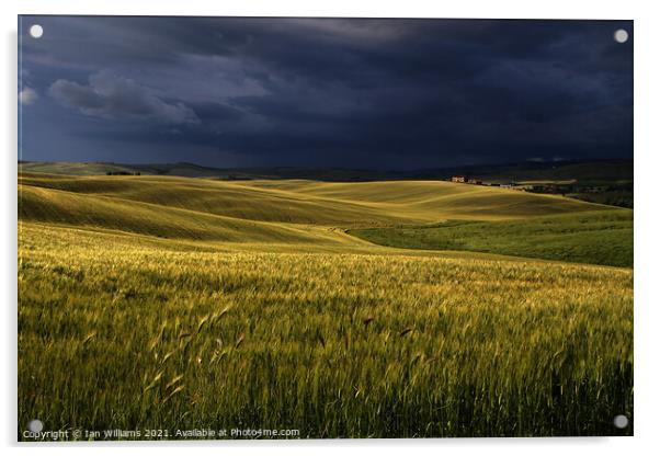 Tuscan Storm Acrylic by Ian Williams