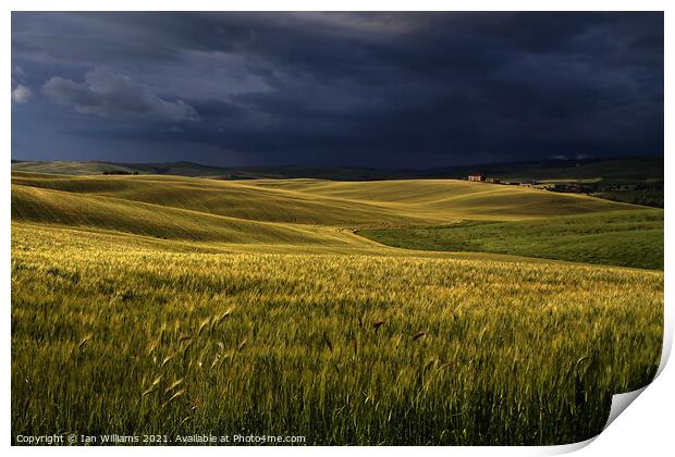 Tuscan Storm Print by Ian Williams