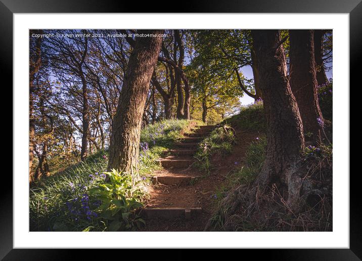Steps to the Bluebells Framed Mounted Print by Kevin Winter