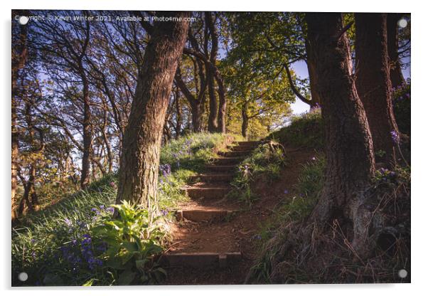 Steps to the Bluebells Acrylic by Kevin Winter