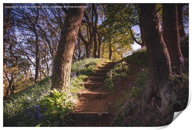 Steps to the Bluebells Print by Kevin Winter