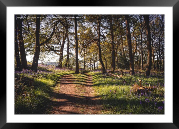 Path through the Bluebells Framed Mounted Print by Kevin Winter
