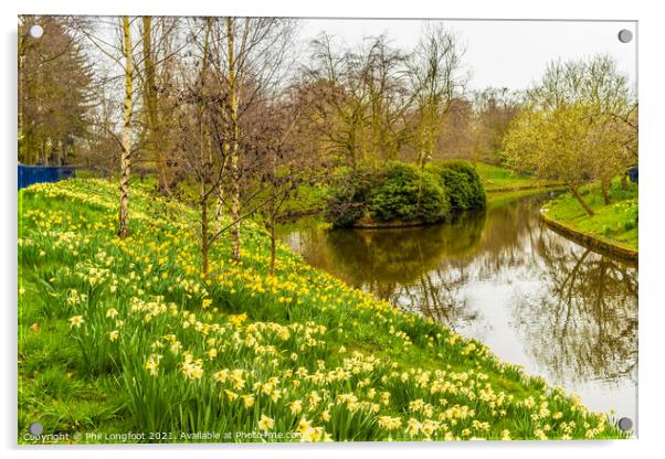 Daffodils in Sefton Park Liverpool Acrylic by Phil Longfoot
