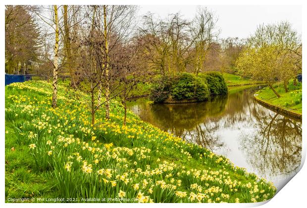 Daffodils in Sefton Park Liverpool Print by Phil Longfoot