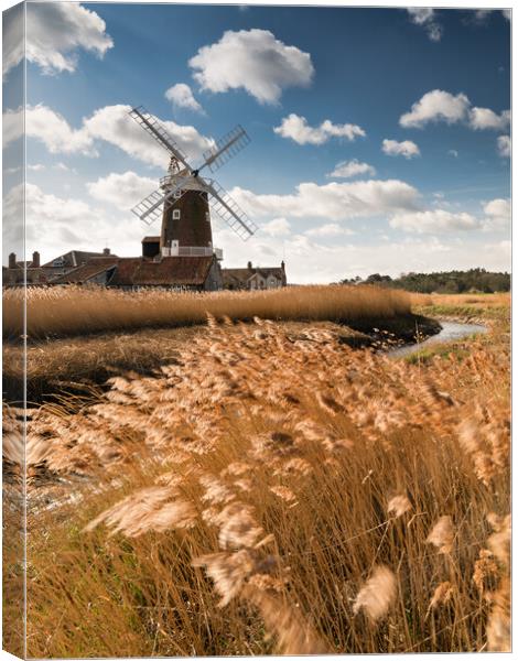 Golden Days at Cley Canvas Print by David Semmens