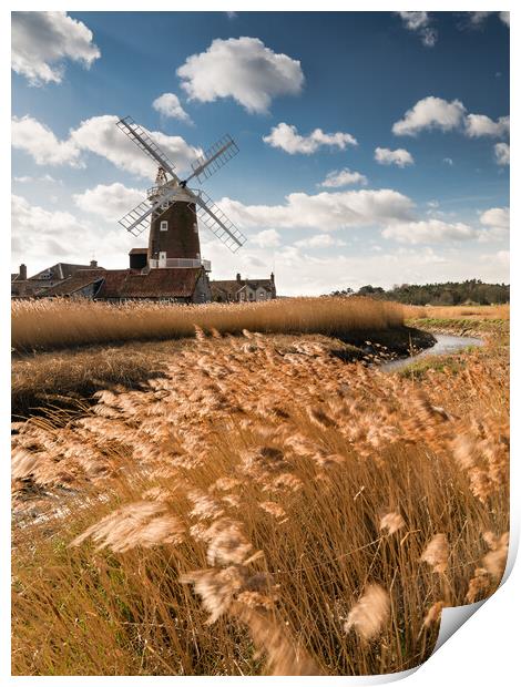 Golden Days at Cley Print by David Semmens