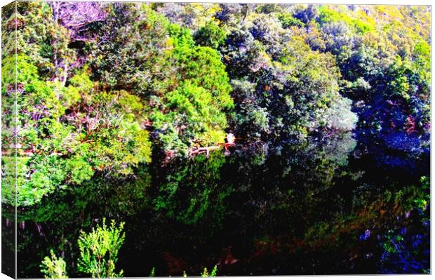 Natural Trees Reflection in water Canvas Print by Pieter Marais
