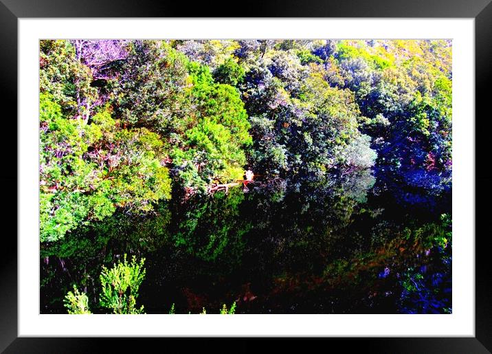 Natural Trees Reflection in water Framed Mounted Print by Pieter Marais