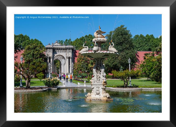 Swan fountain Dolmabahce Palace, Istanbul Framed Mounted Print by Angus McComiskey
