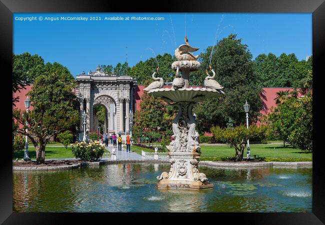 Swan fountain Dolmabahce Palace, Istanbul Framed Print by Angus McComiskey