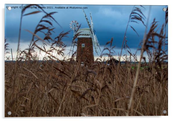 Horsey Windpump through the reeds Acrylic by Christopher Keeley