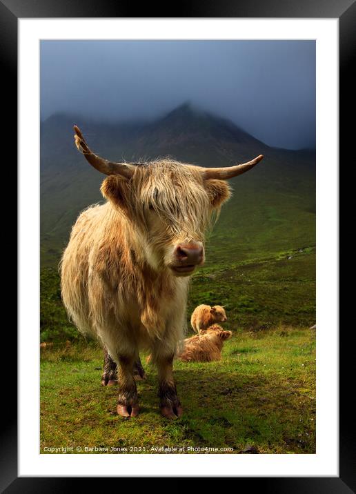 Highland Cow and Red Cuillin Skye Scotland Framed Mounted Print by Barbara Jones