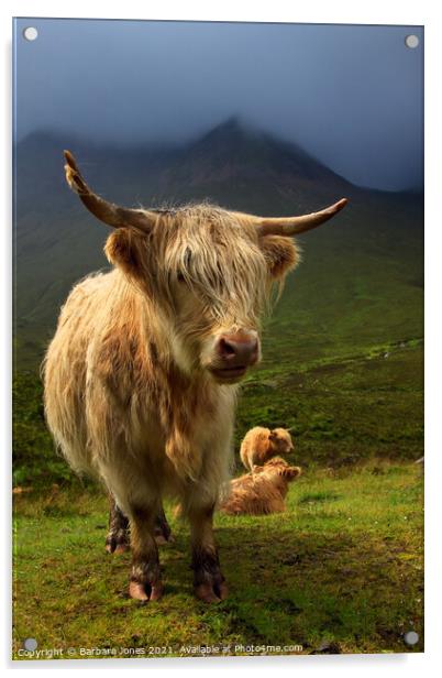 Highland Cow and Red Cuillin Skye Scotland Acrylic by Barbara Jones