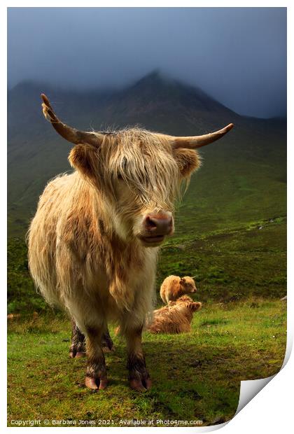 Highland Cow and Red Cuillin Skye Scotland Print by Barbara Jones