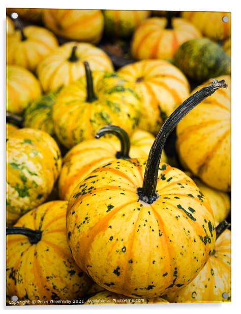 Pile Of Yellow Pumpkins At Waldens Pumpkin Farm Acrylic by Peter Greenway