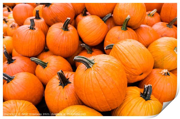 Piles Of Halloween Pumpkins In Tennessee Print by Peter Greenway