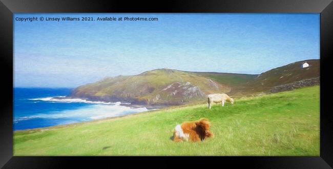Cows at Cape Cornwall Framed Print by Linsey Williams