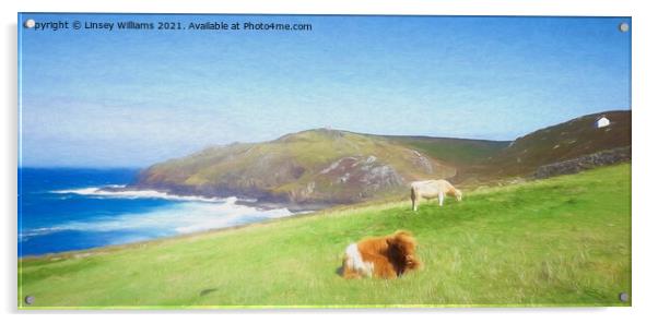 Cows at Cape Cornwall Acrylic by Linsey Williams