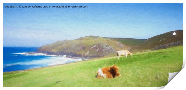 Cows at Cape Cornwall Print by Linsey Williams