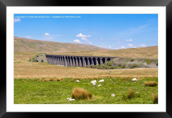 Sheep by Ribblehead Viaduct Yorkshire Dales Framed Mounted Print by Pearl Bucknall