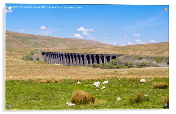 Sheep by Ribblehead Viaduct Yorkshire Dales Acrylic by Pearl Bucknall