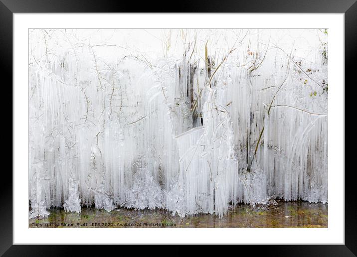 Frozen icicles covering large trees in Norfolk Framed Mounted Print by Simon Bratt LRPS